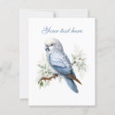 Suche nach wintervögel postkarten Niedlich