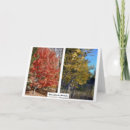 Suche nach herbst karten Blattwerk