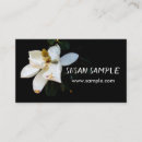 Suche nach magnolie visitenkarten Fotografie