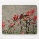 Suche nach roter kardinal mousepads Blume
