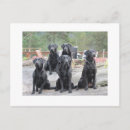 Suche nach norweger postkarten Norway