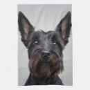 Suche nach kopf geschirr tücher Hund