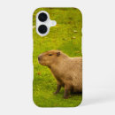 Suche nach säugetier iphone hüllen Natur