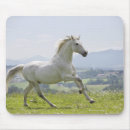 Suche nach weiße pferde mousepads Natur