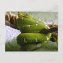 Suche nach smaragde postkarten Grün