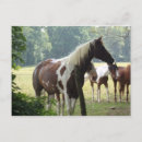 Suche nach rauer poster Haustiere