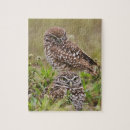 Suche nach athene puzzle Eule