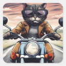 Suche nach motorrad spaß aufkleber Niedlich