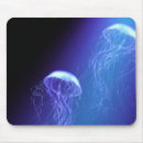 Suche nach qualle mousepads Fische