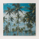 Suche nach palme silhouette Himmel