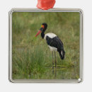 Suche nach männliche ornamente Natur