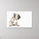 Suche nach pedigree poster Hunde