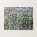 Suche nach lavendel puzzle Natur