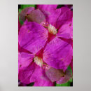 Suche nach clematis kunst Abstrakt