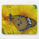 Suche nach tropischer schmetterling mousepads Insekt