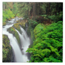 Suche nach regenwald fliesen Landschaft