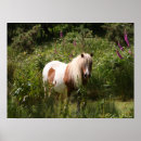 Suche nach pony poster Blume