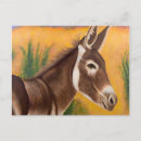 Suche nach burro postkarten Pferd