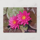Suche nach seerose postkarten Flora