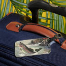 Suche nach fliegenfischen gepäckanhänger Fischer