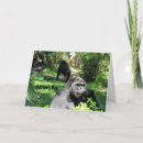 Suche nach ape karten Foto