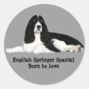 Suche nach englischer springer spaniel aufkleber Sprungbrett