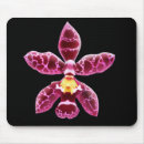 Suche nach rosa orchideen mousepads Blüte