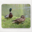 Suche nach ente mousepads Natur