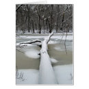 Suche nach fallbaum Natur