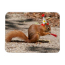 Suche nach eichhörnchen spaß magnete Kinder