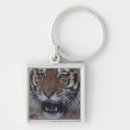 Suche nach sibirischer tiger schlüsselanhänger Gefahr
