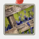 Suche nach zaun von waren ornamente Ländliche szene