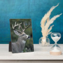 Suche nach geweihe haustier fotoplatten Bock