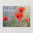 Suche nach rote mohnblume postkarten Papaver