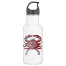 Suche nach krabben trinkflaschen Muschel