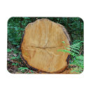 Suche nach baumstämme magnete Waldland