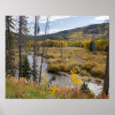 Suche nach baum poster Herbst