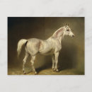 Suche nach constantin poster Steffeck
