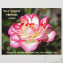 Suche nach valentinstag flyer Rose