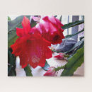 Suche nach polynesisch andere Blumen