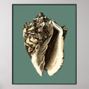 Suche nach teal poster Coastal