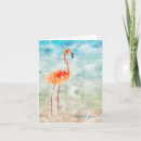 Suche nach flamingo karten Insel