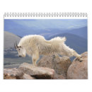Suche nach ziegen kalender Landschaft