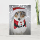 Suche nach sheltie karten Feiertag