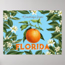 Suche nach vintage frucht poster Botanische illustration