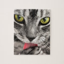 Suche nach graue katze puzzle Tiere