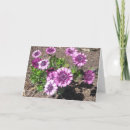 Suche nach leidenschaft karten Blumen