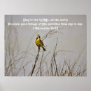 Suche nach singing poster Vogelvogel