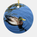 Suche nach enter ornamente Mallard