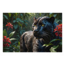 Suche nach jaguar foto poster Dschungel
